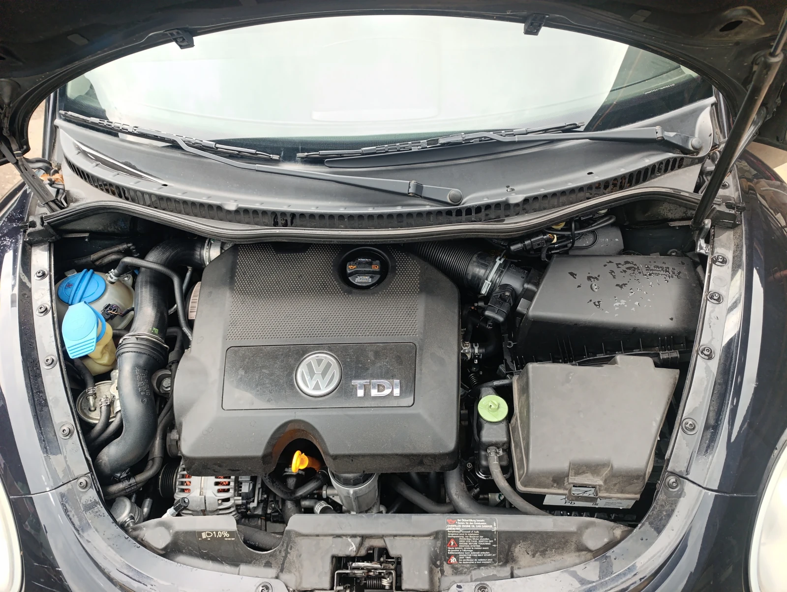 VW Beetle 1.9tdi 105  | Mobile.bg   12