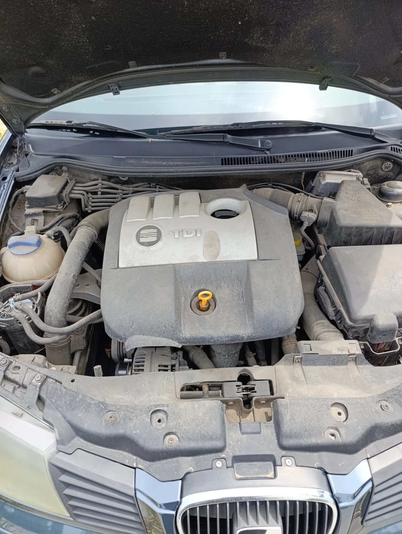 Seat Ibiza  - изображение 8