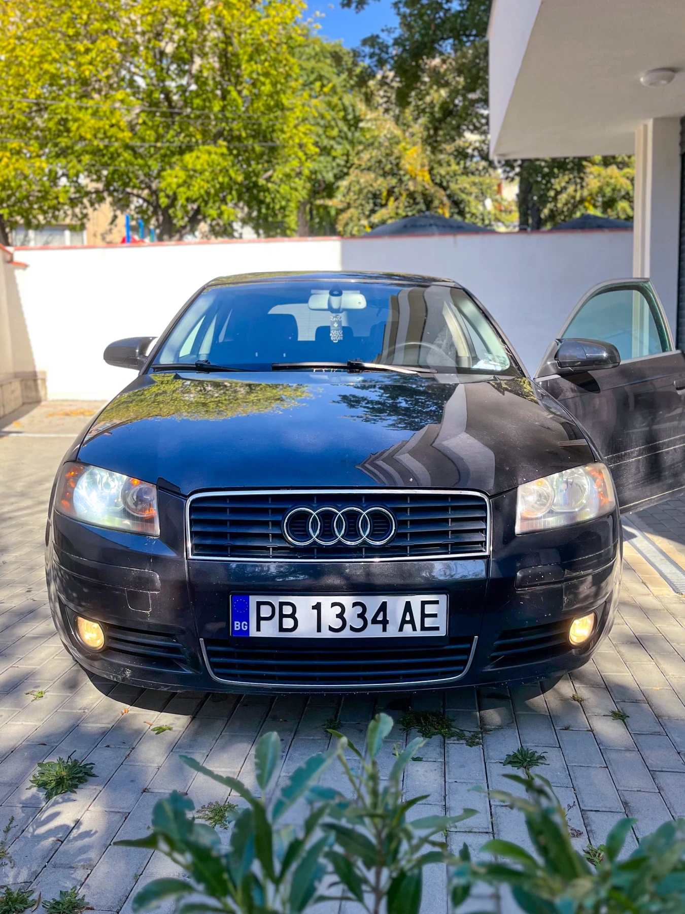 Audi A3 8P1 BKC | Mobile.bg   13