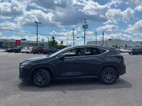 Lexus NX 300 350 * AWD * ДИСТРОНИК * ОБДУХВАНЕ * ПАМЕТ | Auto.bg — изображение 8