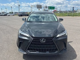 Lexus NX 300 350 * AWD * ДИСТРОНИК * ОБДУХВАНЕ * ПАМЕТ | Auto.bg — изображение 2
