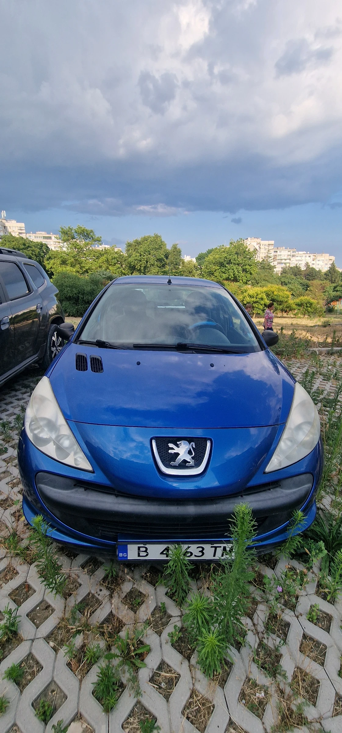 Peugeot 206