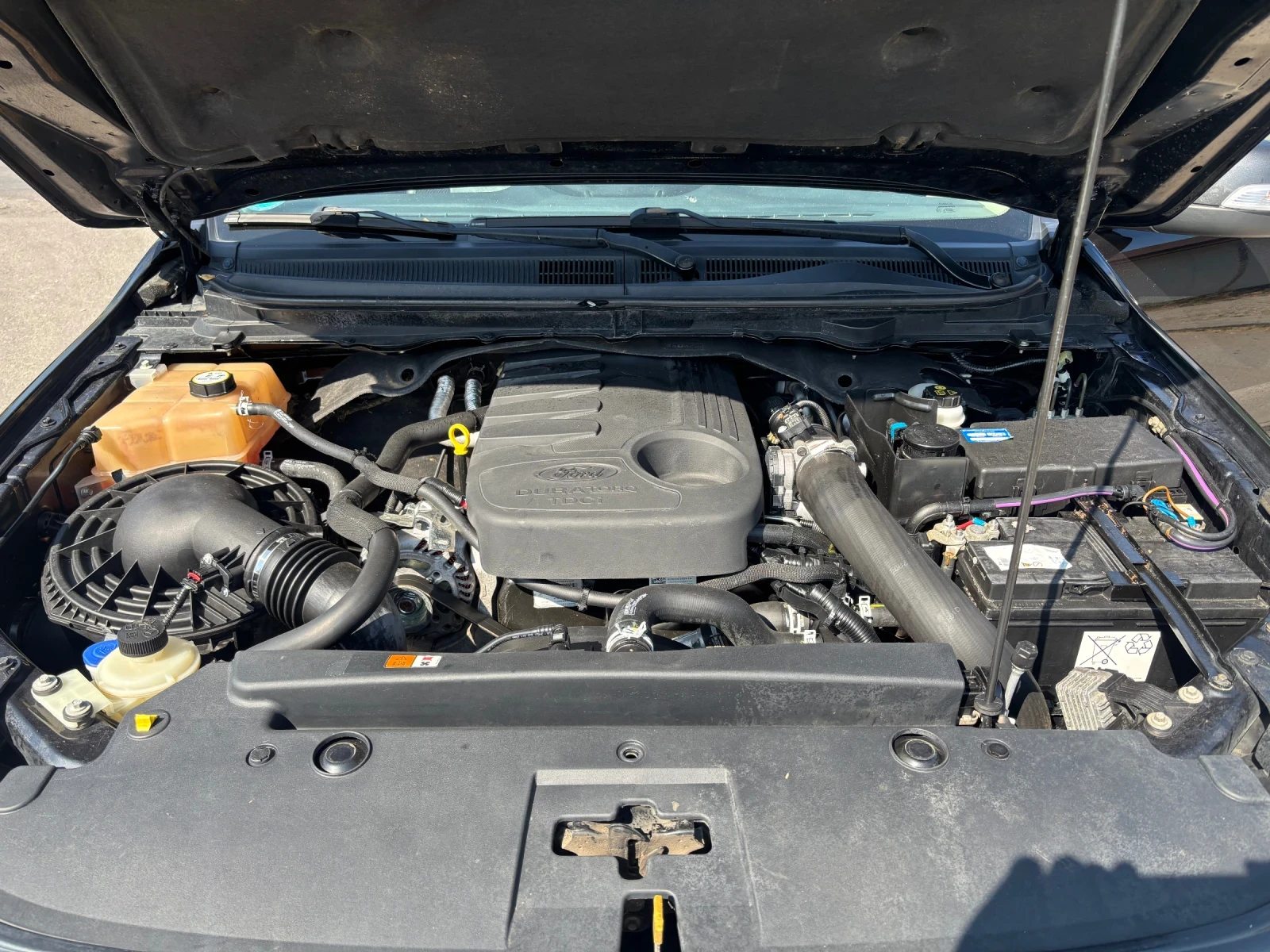 Ford Ranger  WILDTRAK  | Mobile.bg   13