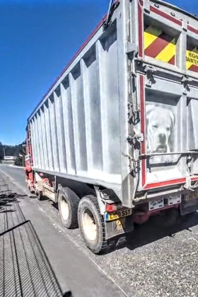 Volvo Fm 8x4  ��������  | Mobile.bg � ����� ������ 3