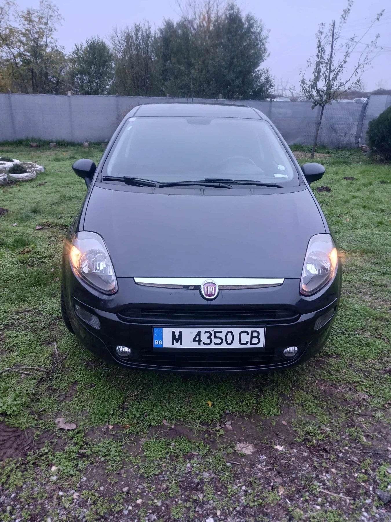 Fiat Punto | Mobile.bg   1