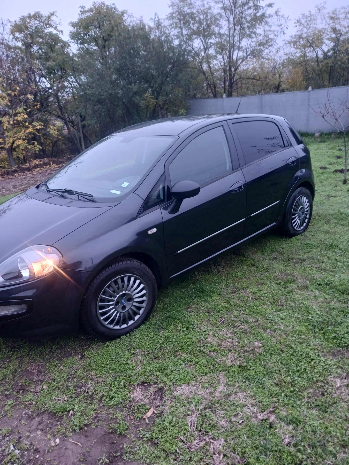 Fiat Punto | Mobile.bg   2