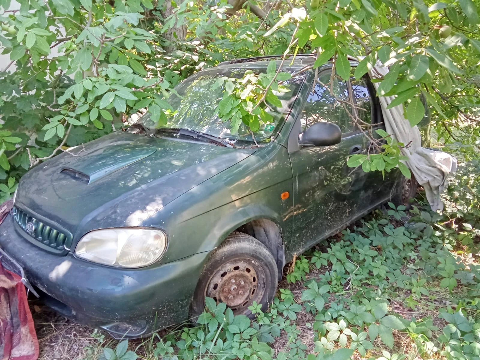 Kia Carnival, снимка 2 - Автомобили и джипове - 55596334