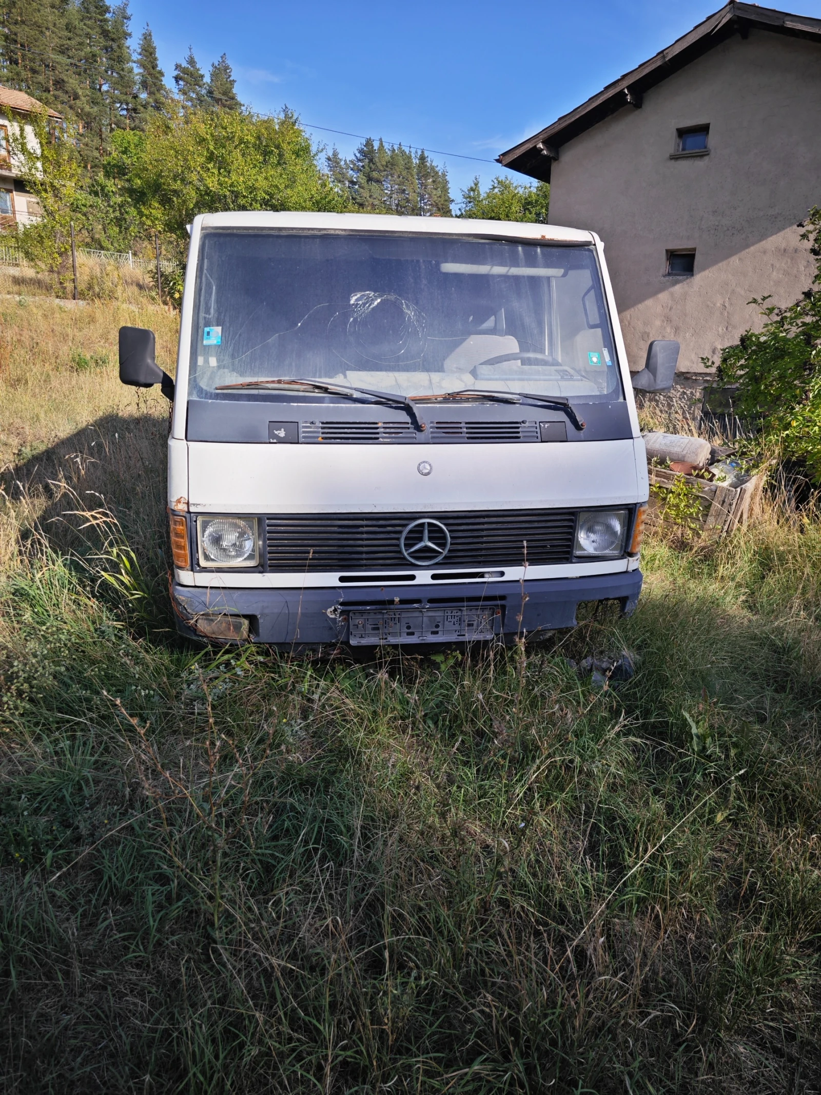 Mercedes-Benz 100  - изображение 4