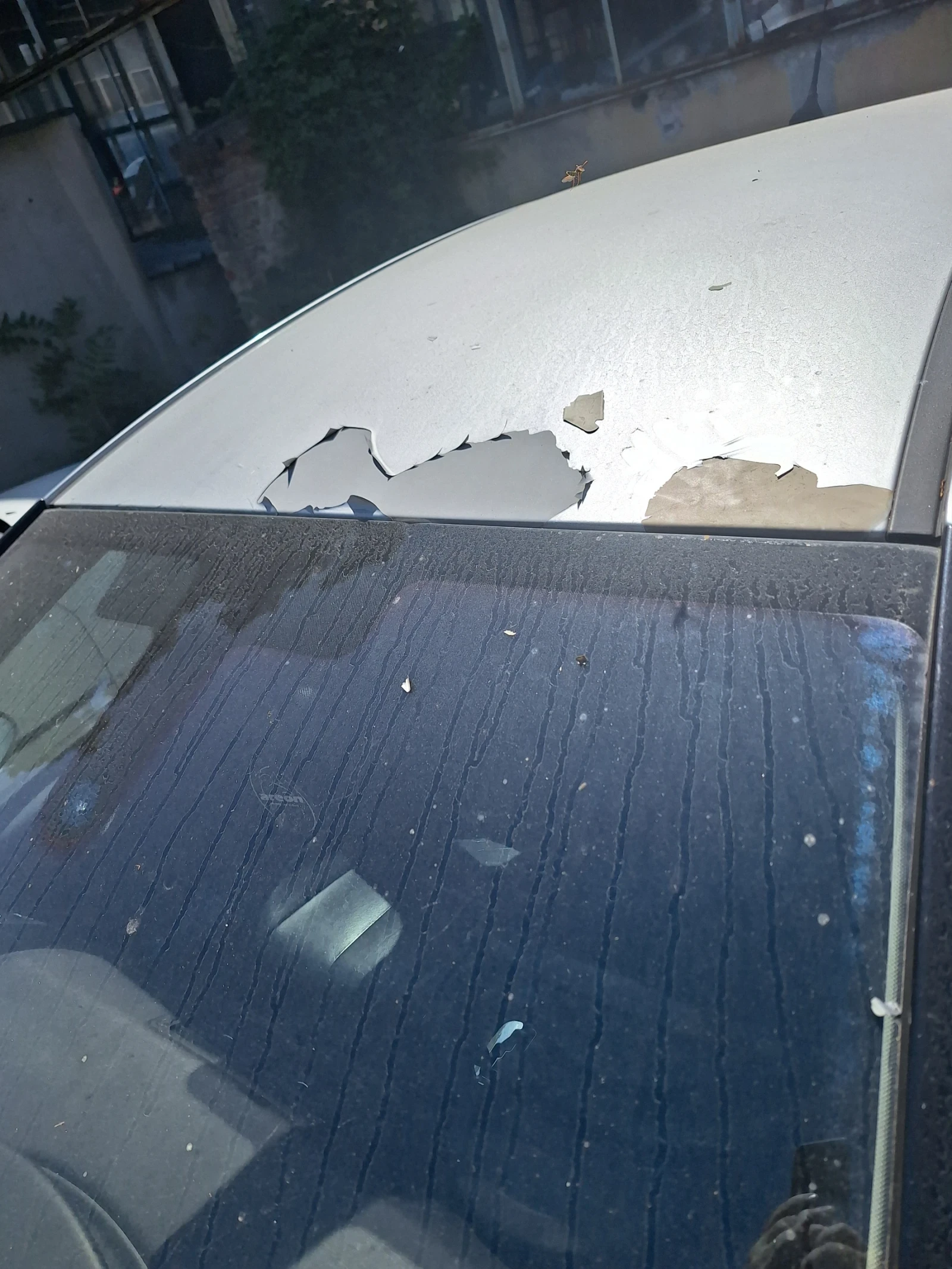 Citroen C4, снимка 11 - Автомобили и джипове - 55086877