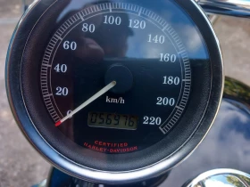 Harley-Davidson Sportster Sportster 1200 C, снимка 11