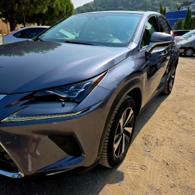 Lexus NX 300h Exécutive  | Mobile.bg    3