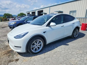������ Tesla Model Y