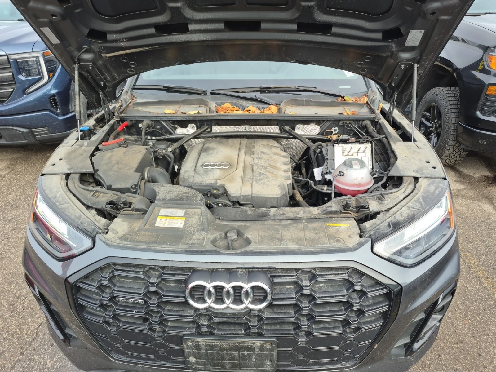 Audi Q5 * CARFAX *    | Mobile.bg   16