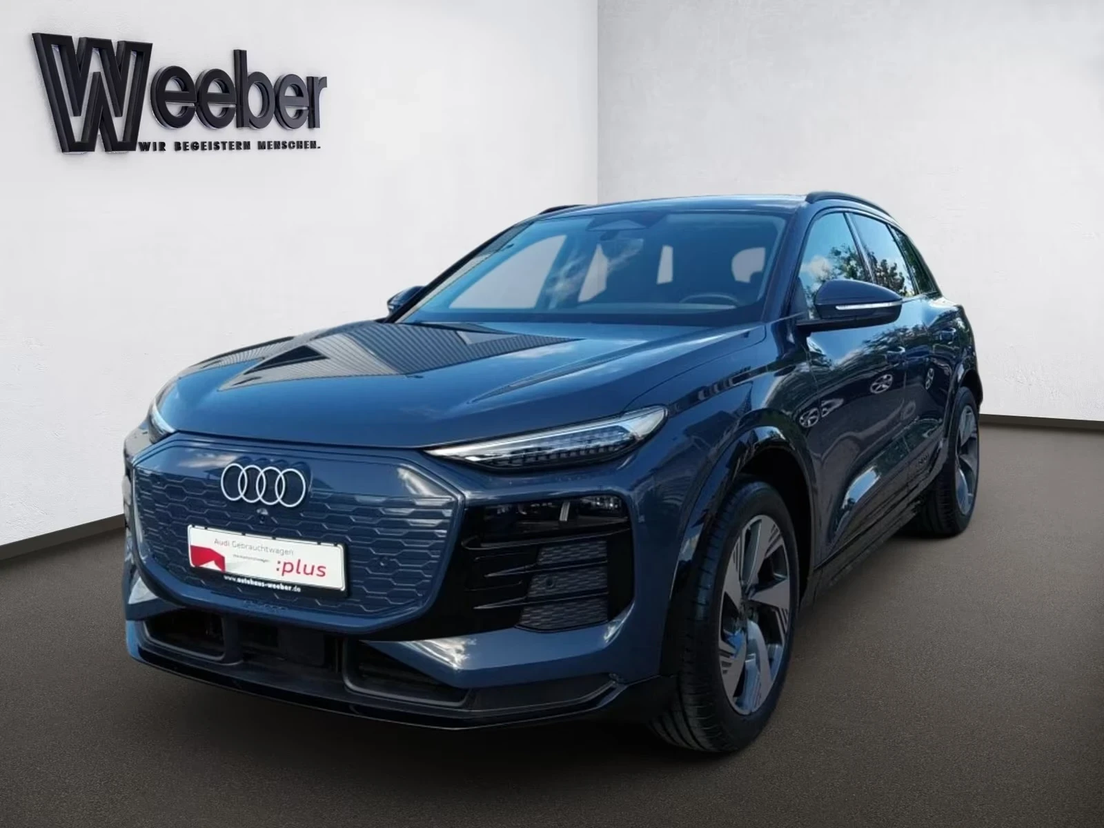 Audi Q6 e-tron Tech Plus Matrix DISTR 360 Winter Pack+ K-L
