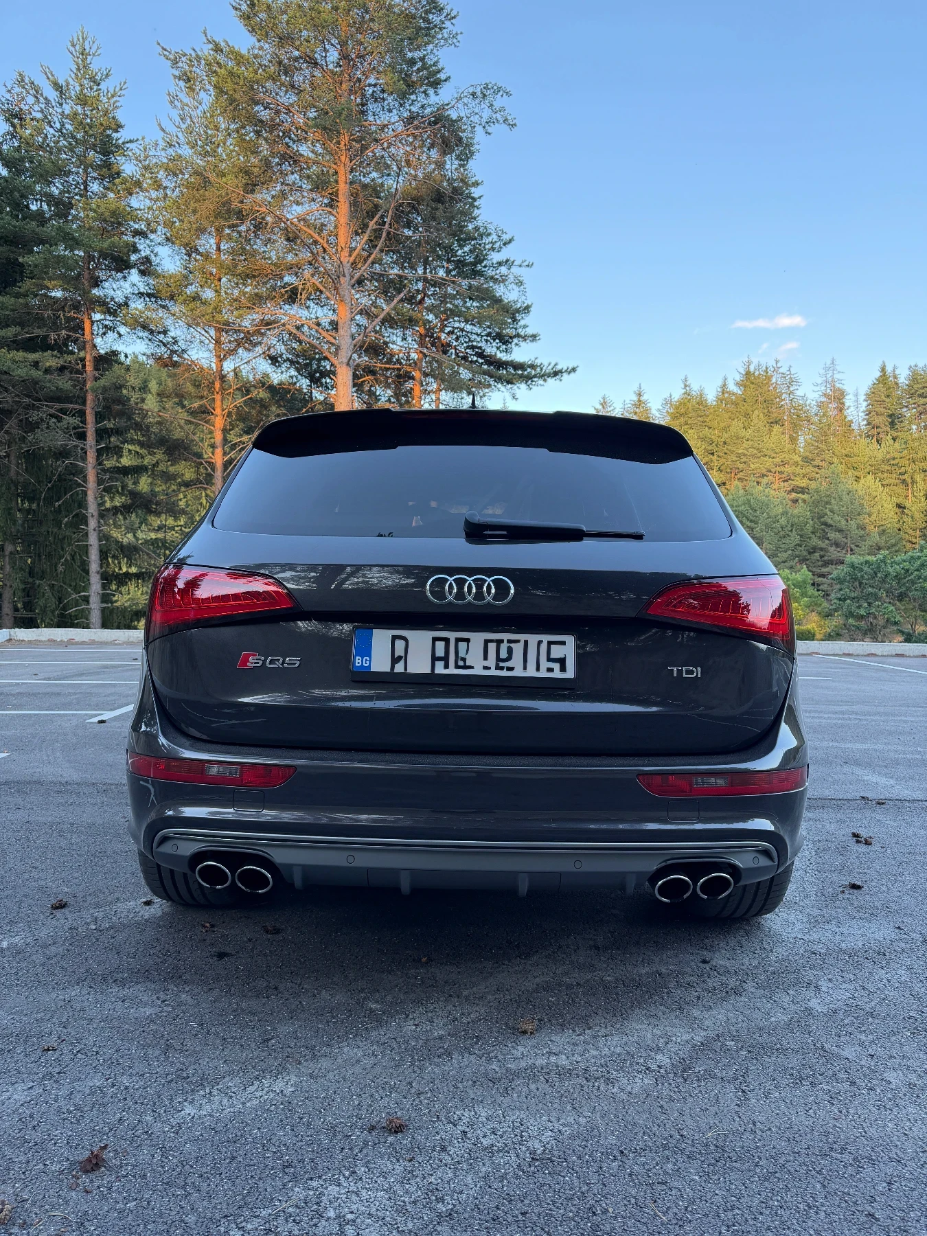 Audi SQ5 TDI, снимка 8 - Автомобили и джипове - 55287254