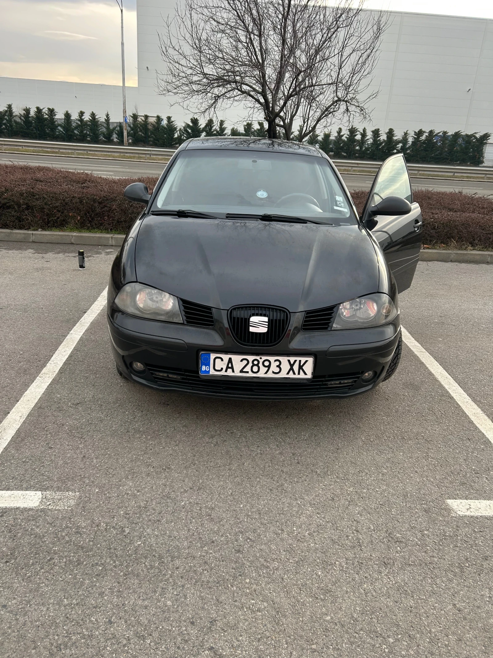 Seat Ibiza Ibiza, снимка 1