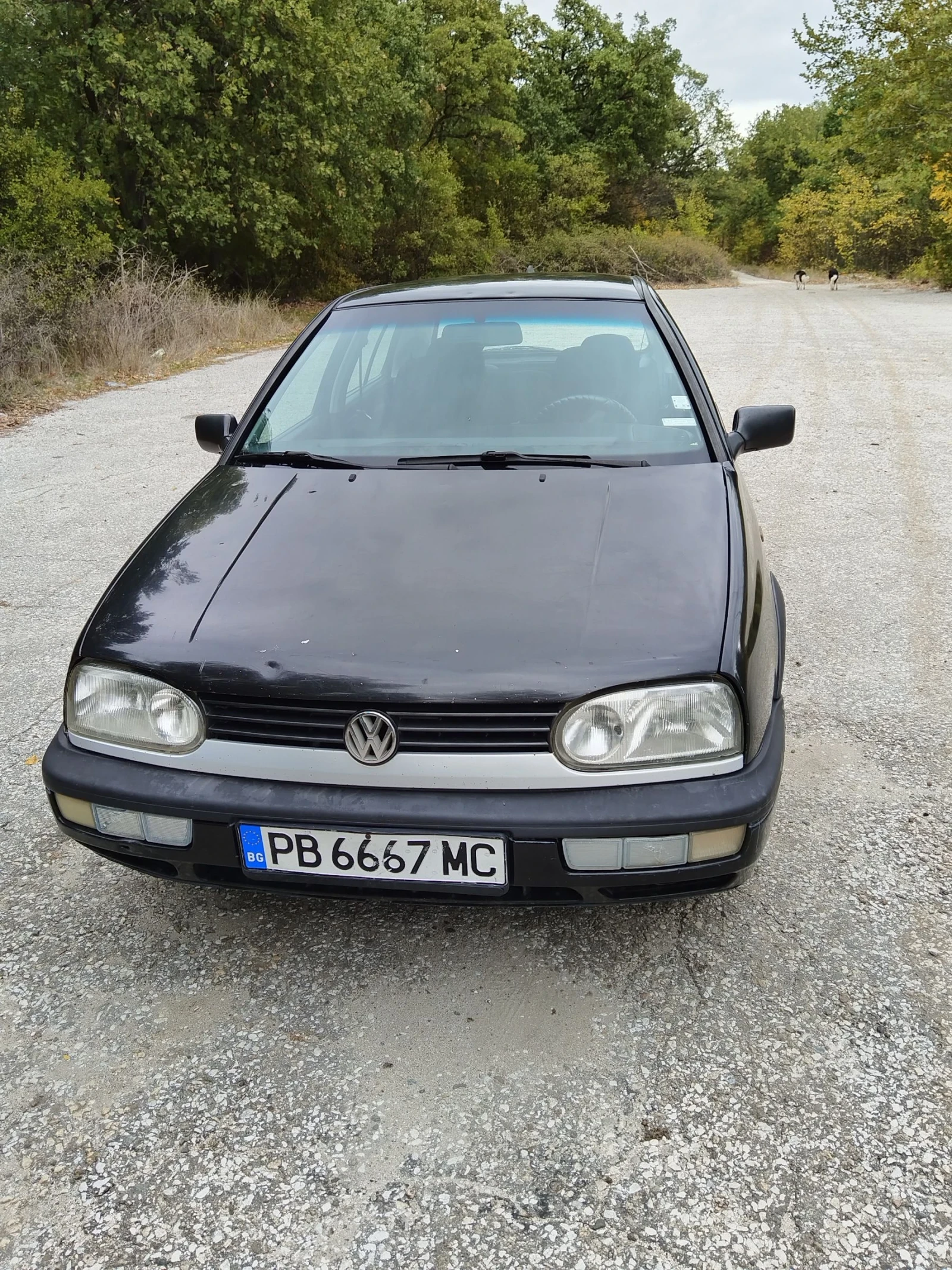 VW Golf, снимка 1