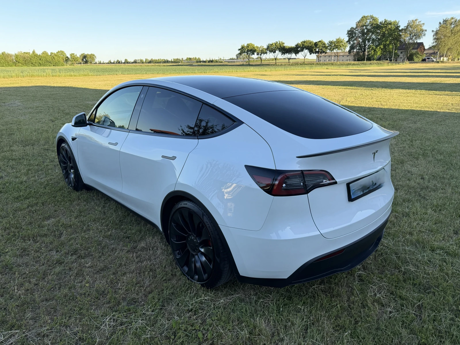 Tesla Model Y Performance, снимка 6 - Автомобили и джипове - 54805370