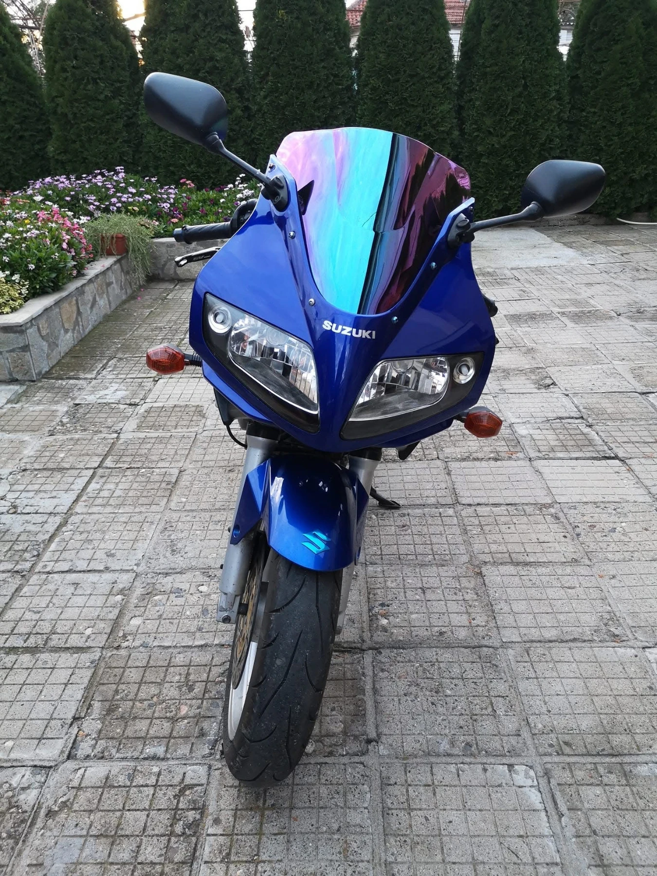 Suzuki SV 650S - изображение 7