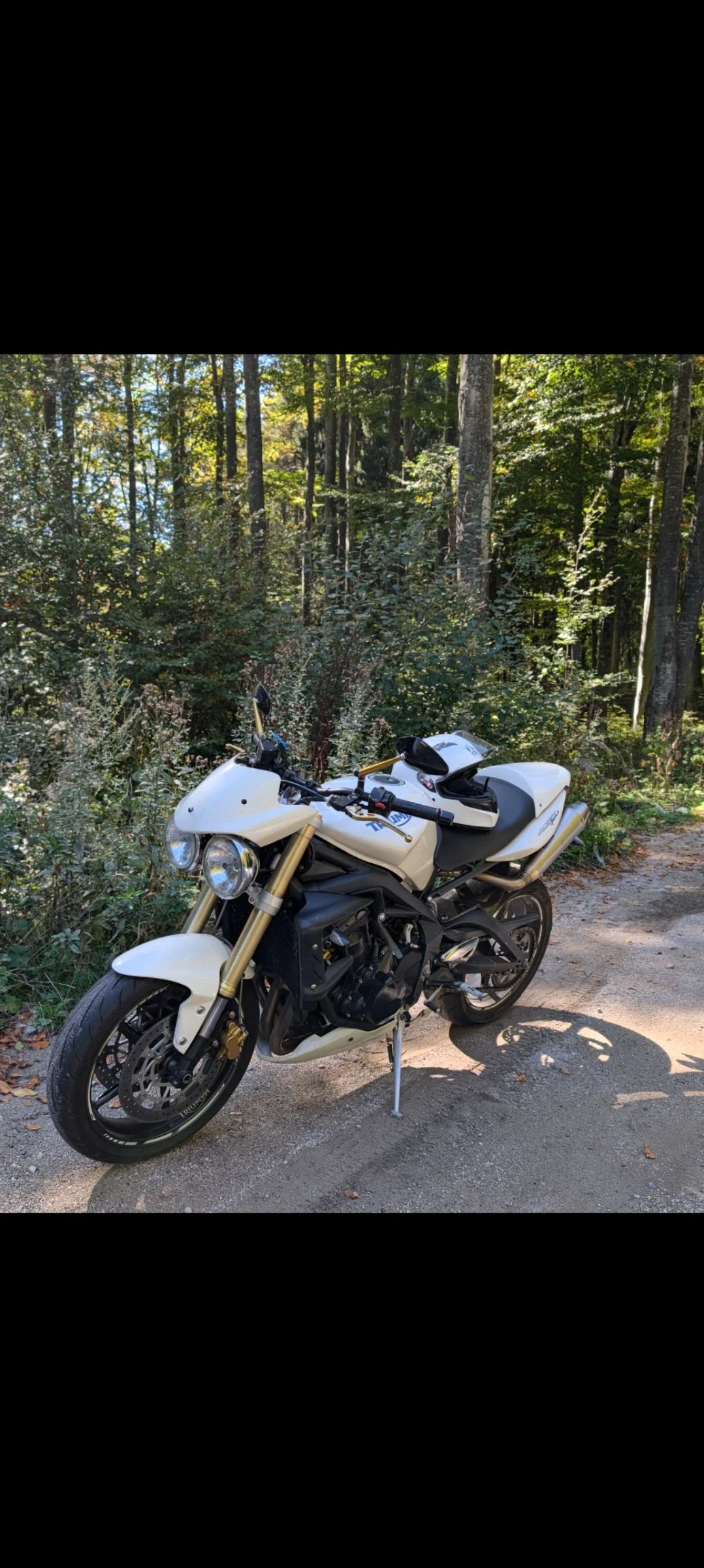 Triumph Street Triple 675 - изображение 4