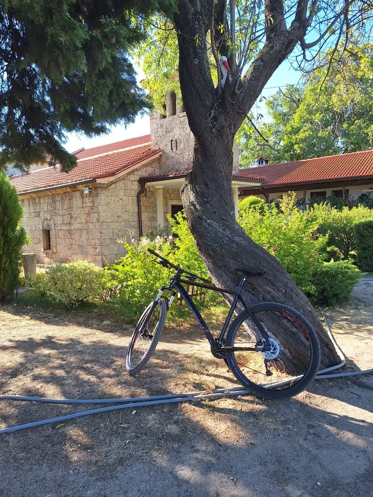��������� Hardy 9 XL | Mobile.bg � ����������� 2