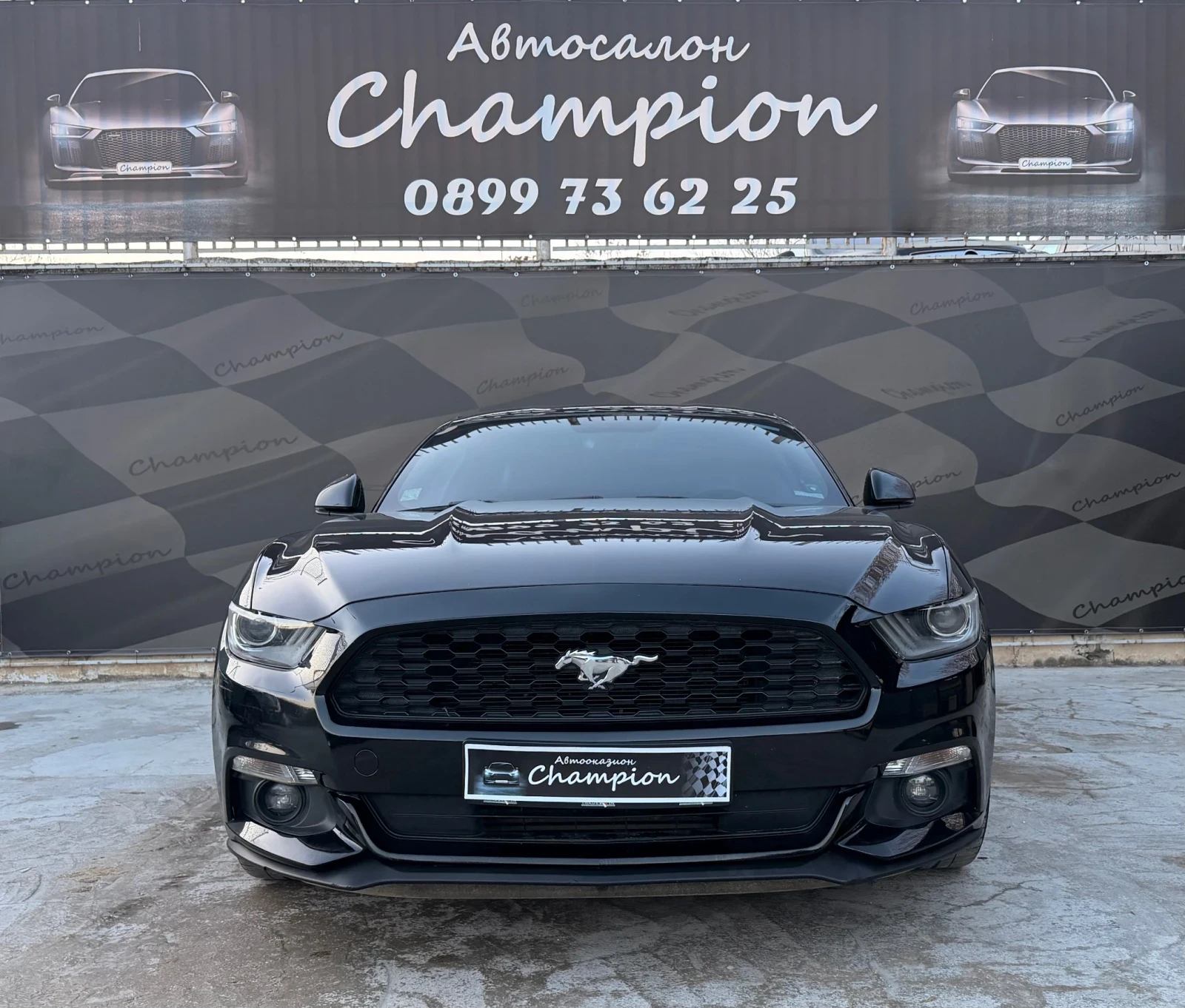 Ford Mustang  - изображение 2