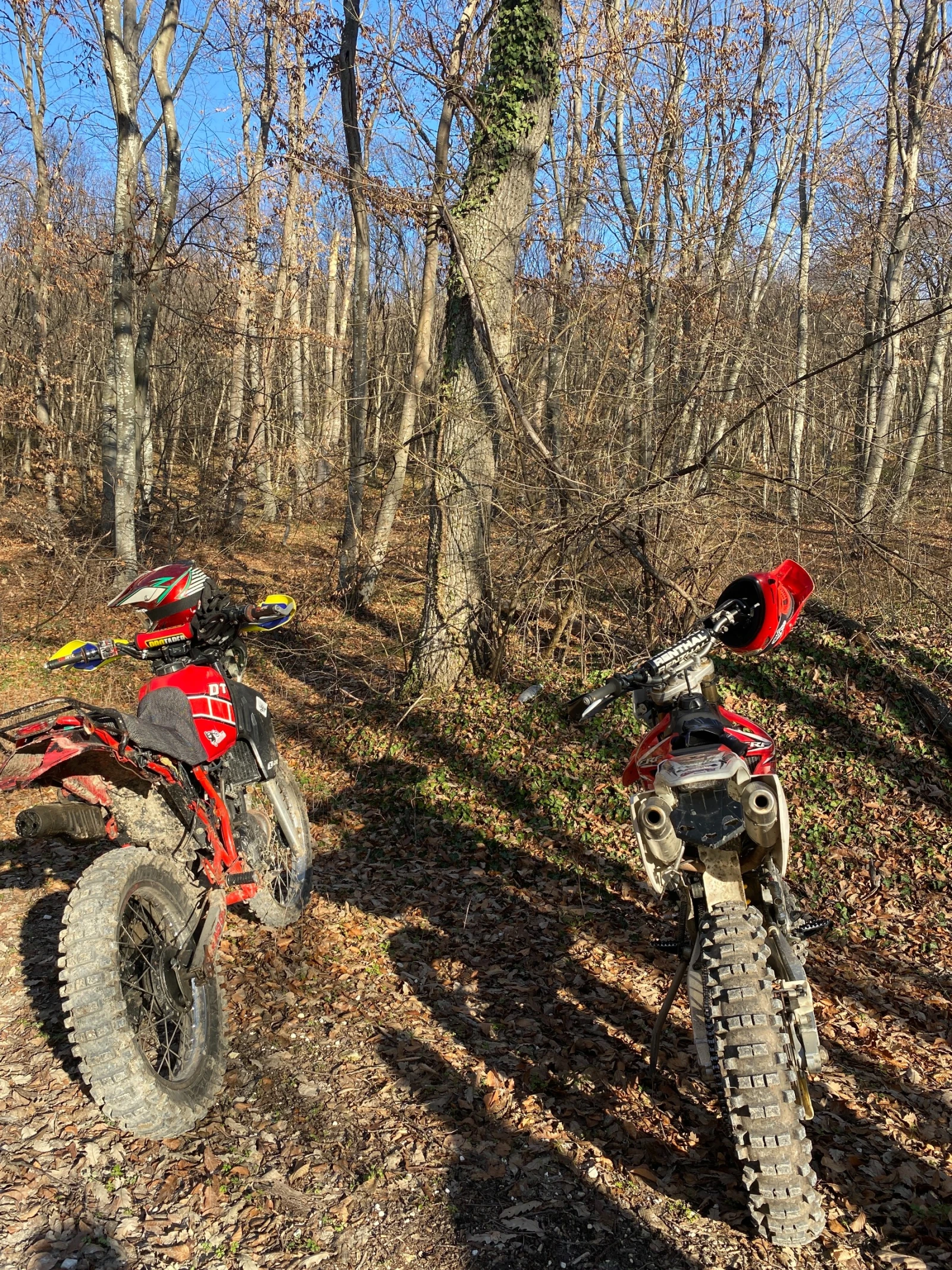 Yamaha Dt  - изображение 7