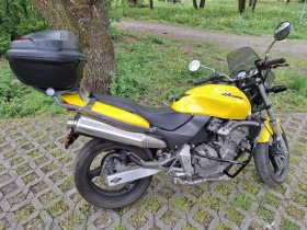 Honda Hornet 600 | Mobile.bg � ����� ������ 13