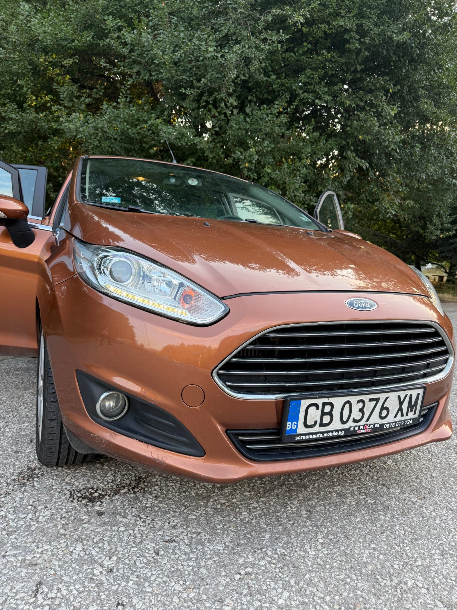 Ford Fiesta  - изображение 3