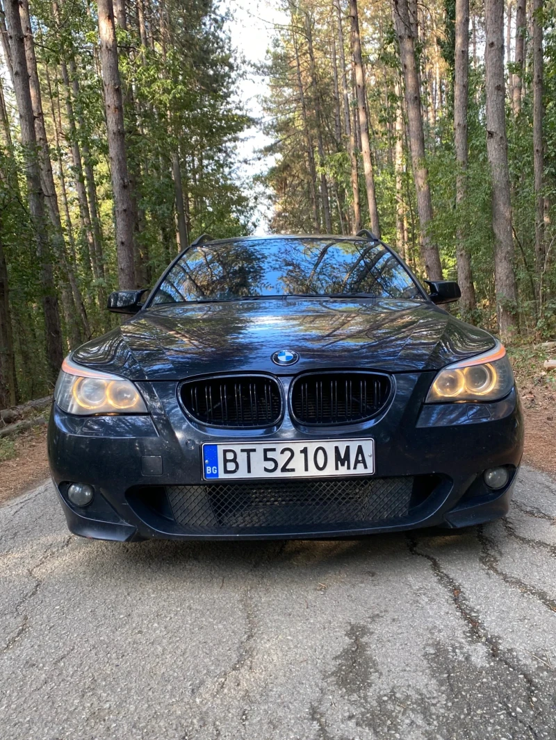 BMW 520 Stage1, снимка 6 - Автомобили и джипове - 47587194