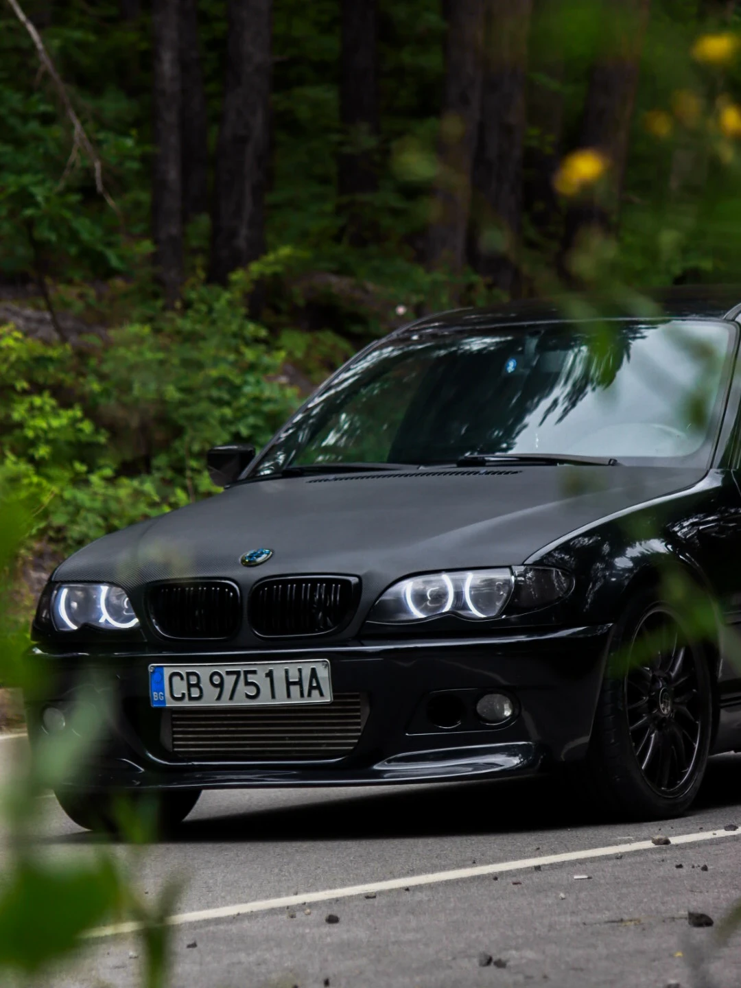 BMW 330 E46 330D, снимка 3 - Автомобили и джипове - 54890796