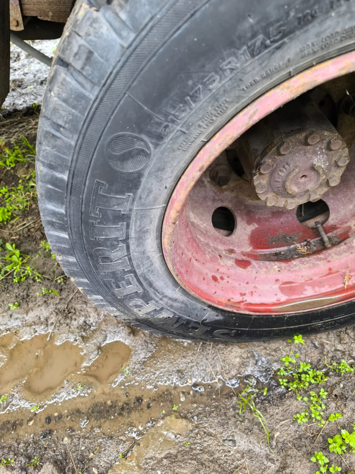 Iveco Magerus 80-13 | Mobile.bg � ����������� 10