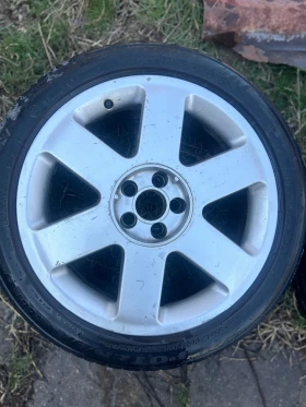 ������ ������