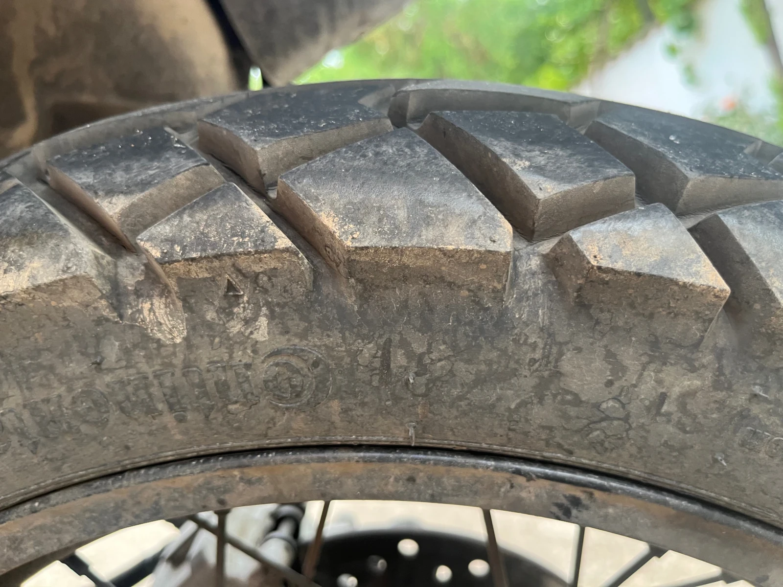 Honda Xlv  - изображение 7