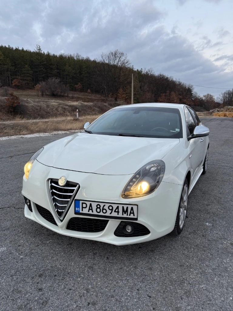 Alfa Romeo Giulietta JTDM  - изображение 2