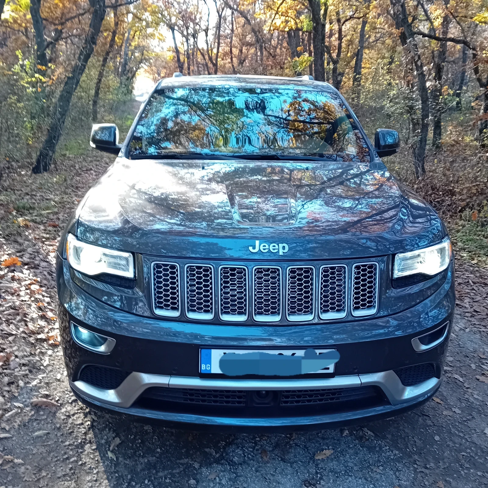 Jeep Grand cherokee | Mobile.bg � ����������� 1