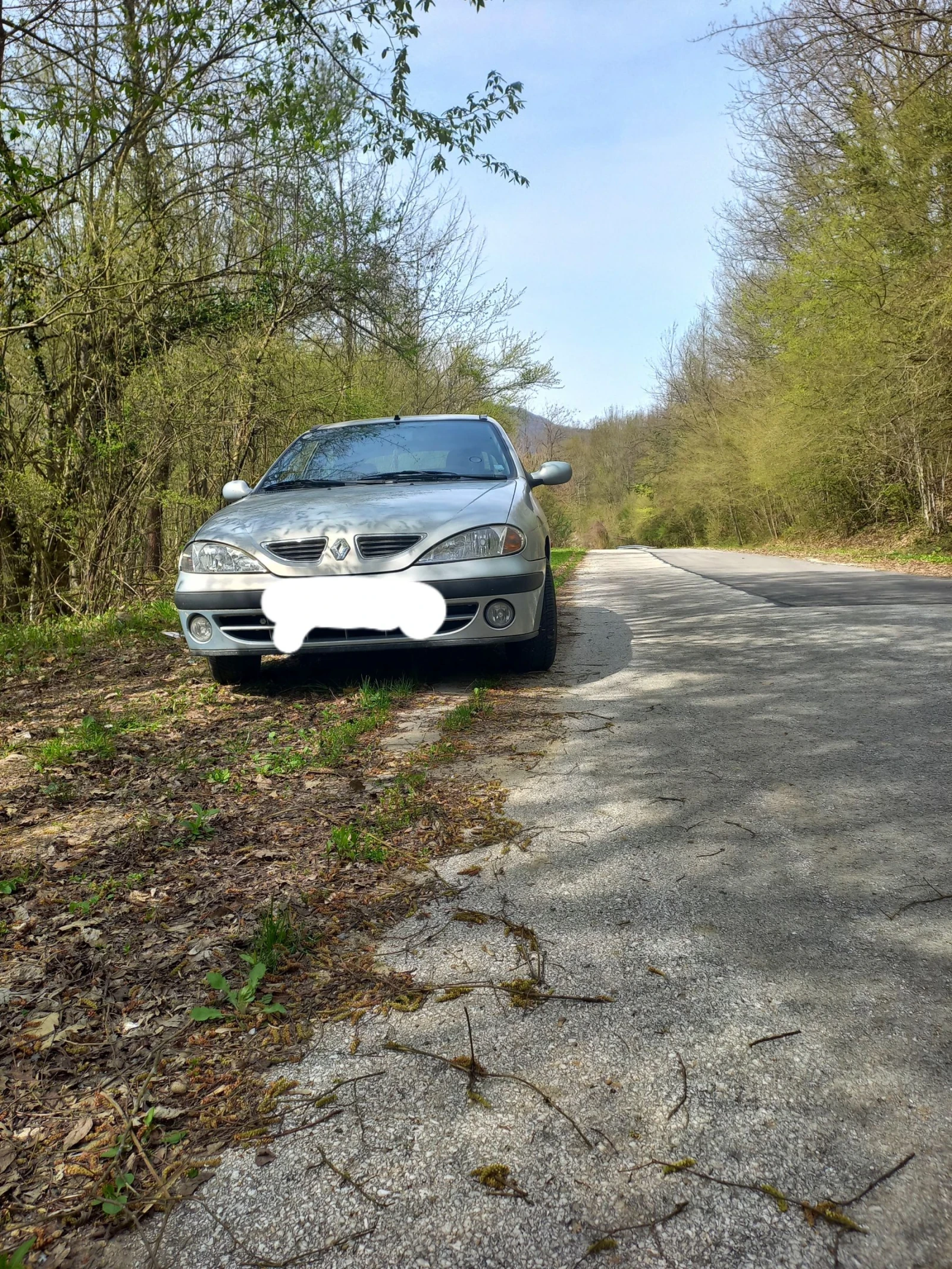 Renault Megane 1.9dti, снимка 2 - Автомобили и джипове - 54635047