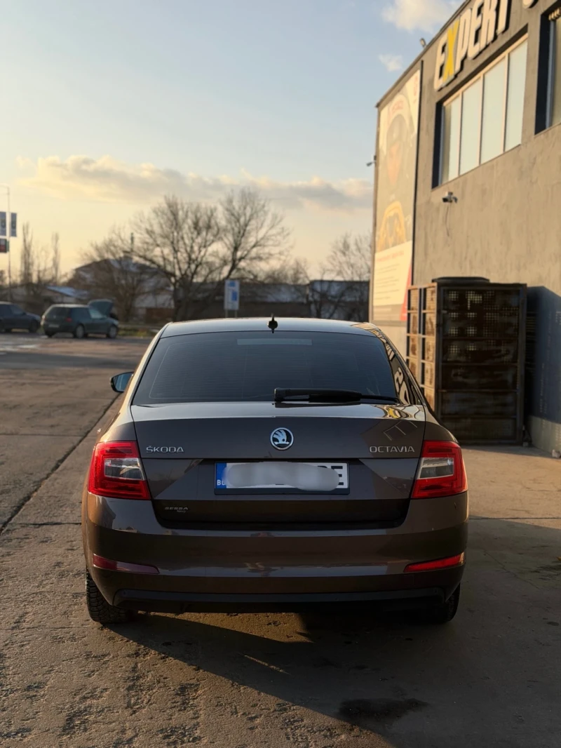 Skoda Octavia 1.6TDI DSG KOJA XENON NAVI, снимка 5 - Автомобили и джипове - 53152826