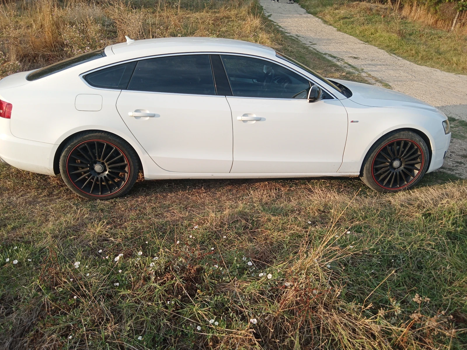 Audi A5  - изображение 6