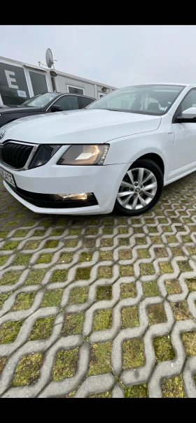 Skoda Octavia - 10000 € / 19558.30 лв. - 37824019 7