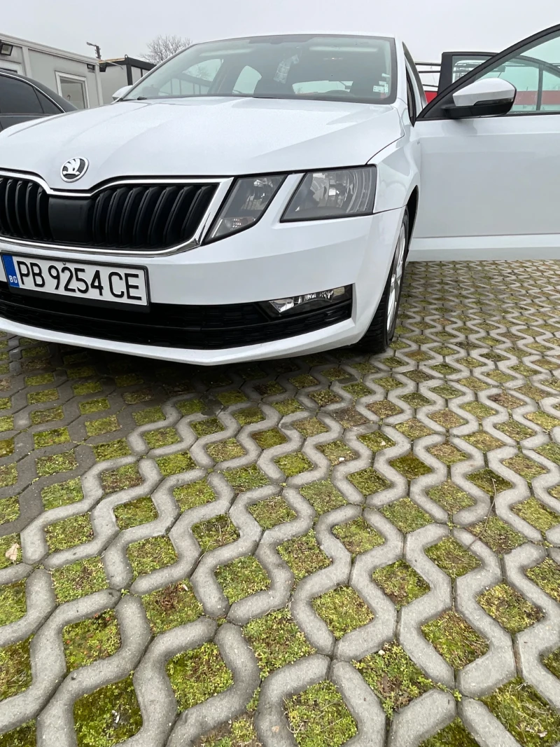 Skoda Octavia, снимка 3 - Автомобили и джипове - 53221457