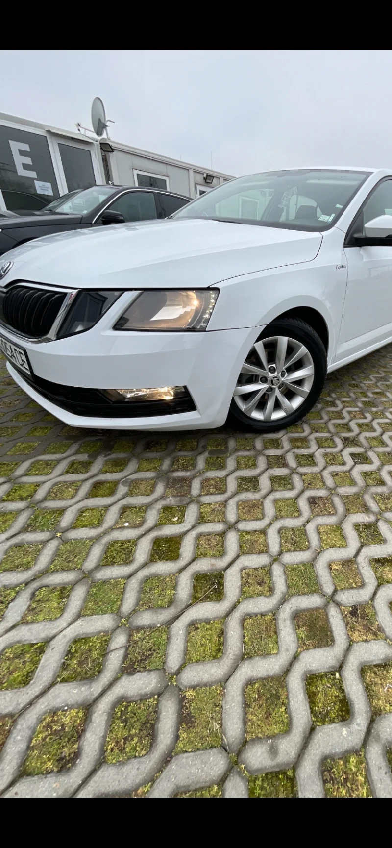 Skoda Octavia, снимка 7 - Автомобили и джипове - 53221457