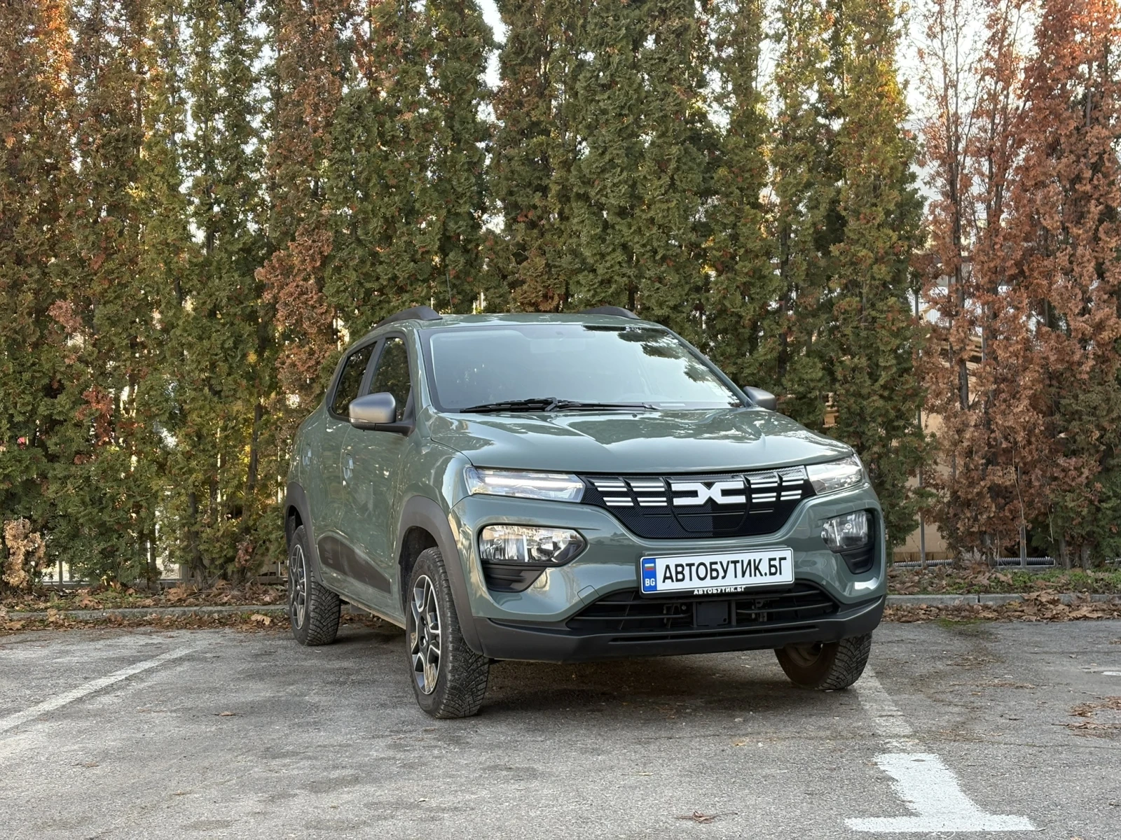 Dacia Spring, снимка 1
