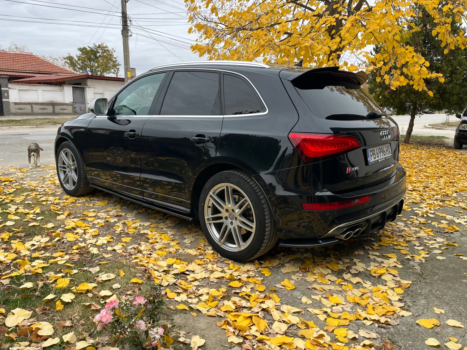 Audi SQ5 Maxton Лизинг - изображение 4