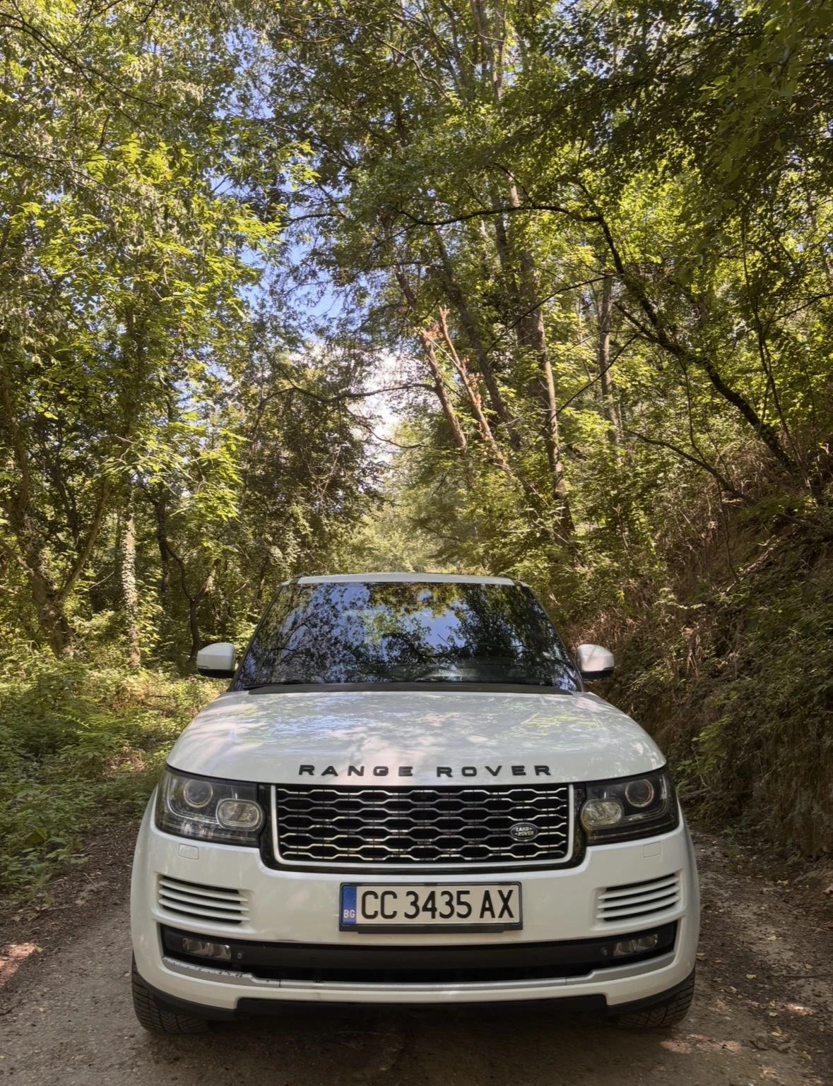 Land Rover Range rover, снимка 3 - Автомобили и джипове - 55464897