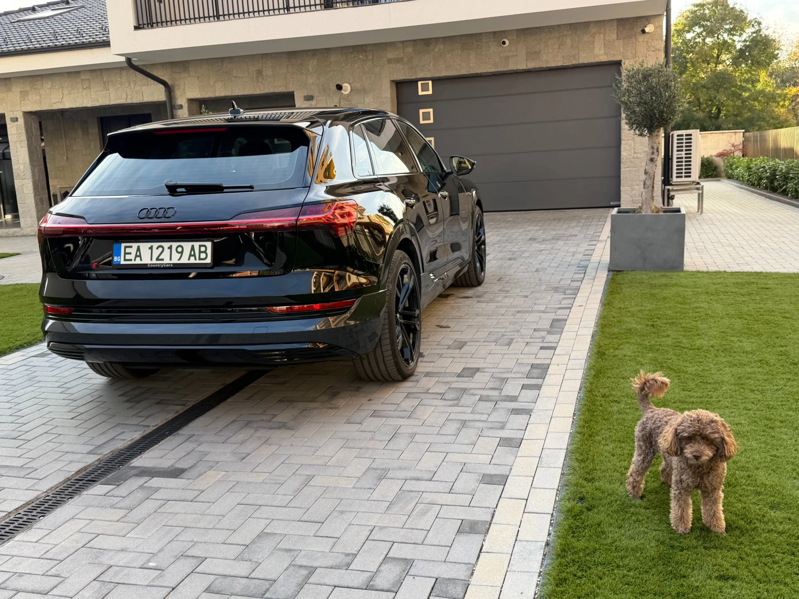 Audi E-Tron 55 quattro 95 kWh, снимка 15 - Автомобили и джипове - 56590461