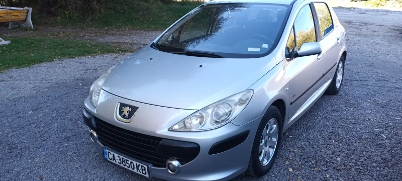 Peugeot 307 1.6, снимка 2 - Автомобили и джипове - 47685616