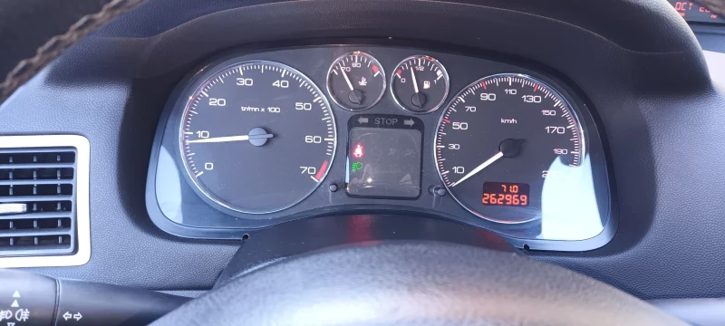 Peugeot 307 1.6, снимка 12 - Автомобили и джипове - 47685616