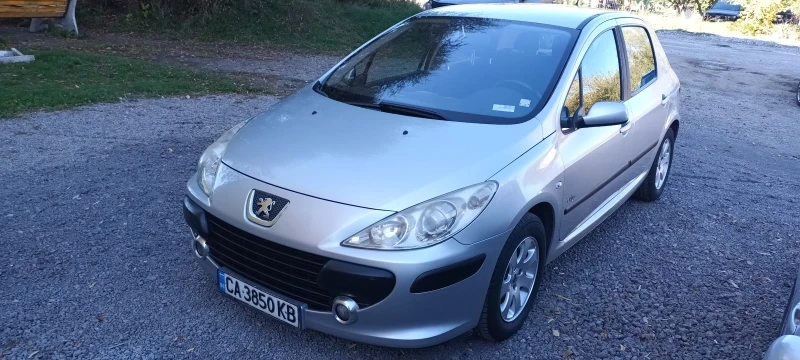 Peugeot 307 1.6, снимка 1 - Автомобили и джипове - 47685616