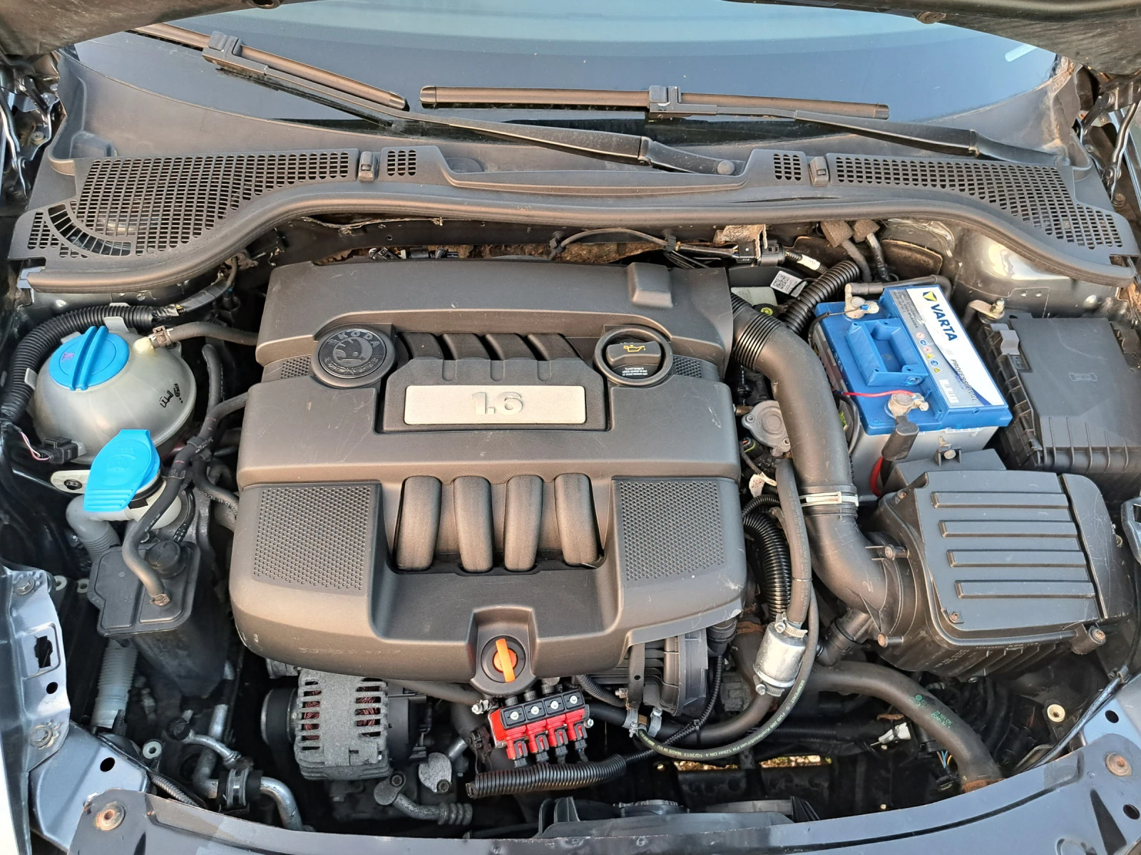 Skoda Octavia 1.6i  + LPG *  | Mobile.bg   16